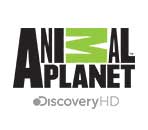 Animal Planet HD Animal Planet HD